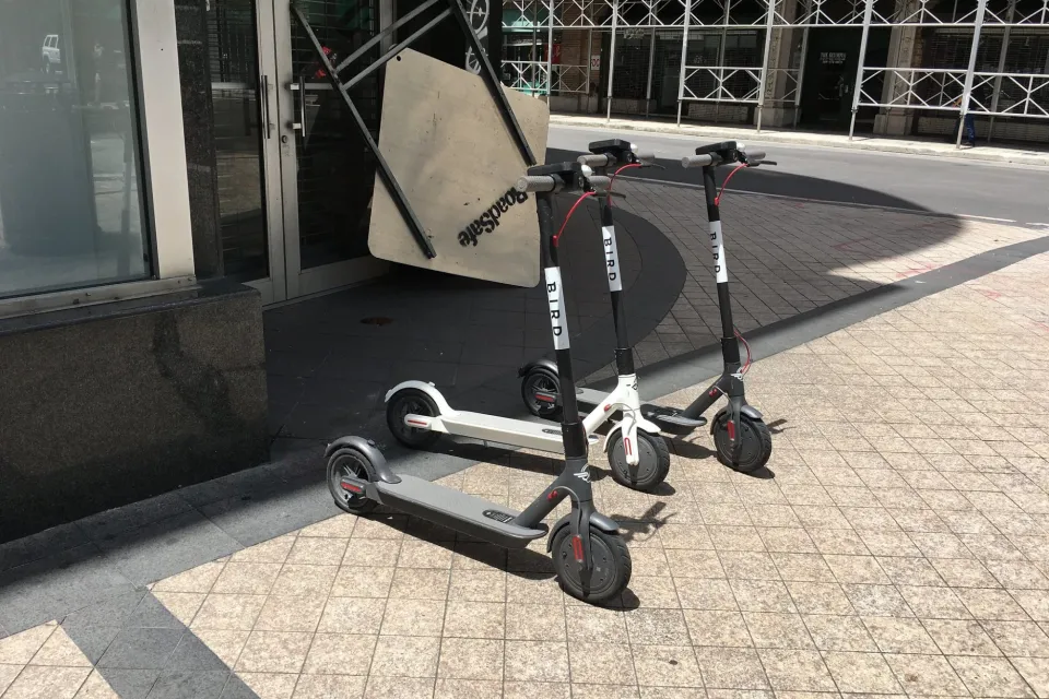 Bird Scooter
